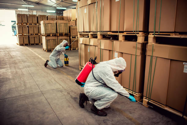 Best Best Pest Control Companies  in Carey, ID