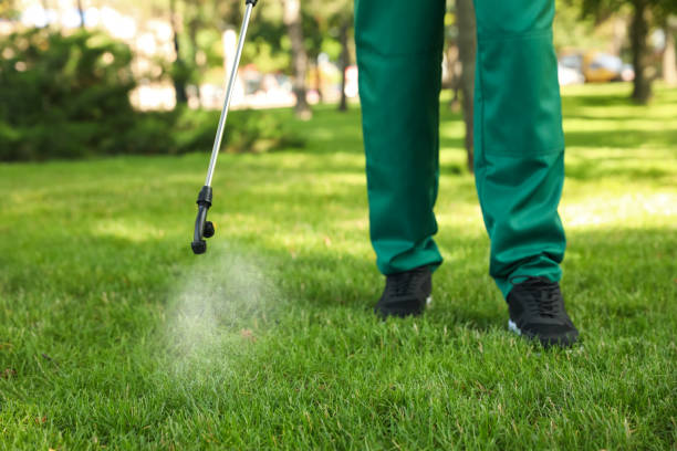 Best Wildlife Control Services  in Carey, ID