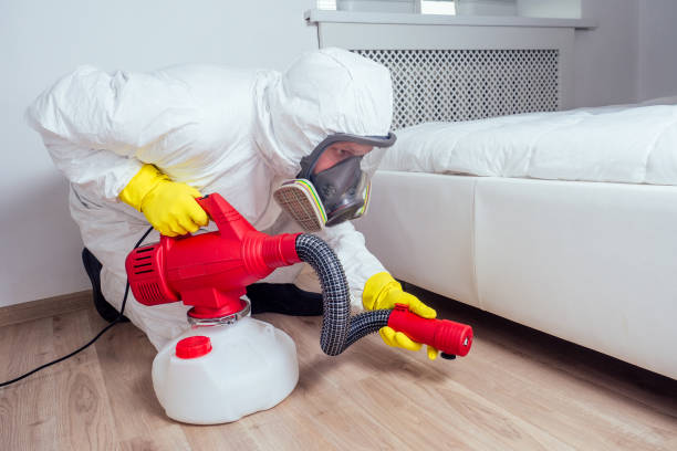 Best Pest Removal Services  in Carey, ID