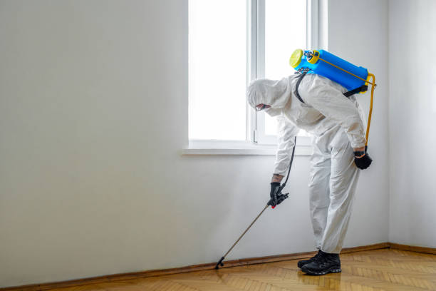 Best Wildlife Control Services  in Carey, ID