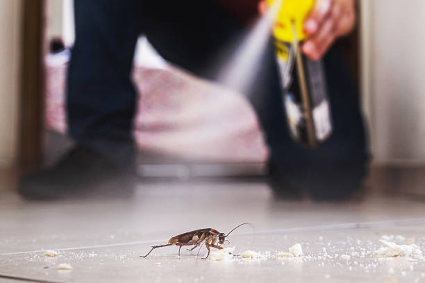 Pest Control Cost in Carey, ID