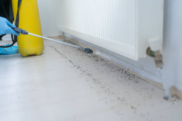 Best Best Pest Control Companies  in Carey, ID
