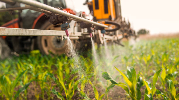 Best Best Pest Control Companies  in Carey, ID