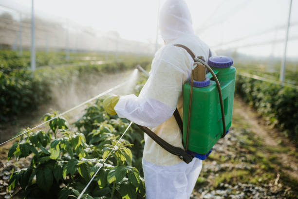 Best Affordable Pest Control Services  in Carey, ID